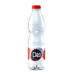 CLEO
