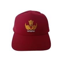TOPI SD