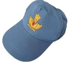 TOPI SMA